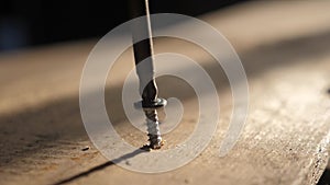 The worker tightens the screw with a screwdriver. Screws screwdriver twist in wooden board. Joinery and construction