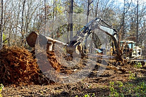 Worker uproots trees in forest with help of an by using excavator, preparing ground for a house construction