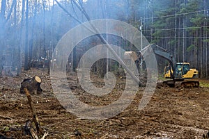 Worker is using excavator to uproot trees in forest prepare ground for a house.