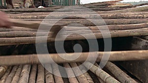 Worker using a hatchet to split-cut pointed bamboo poles laid width wise across a barge at the river's edge