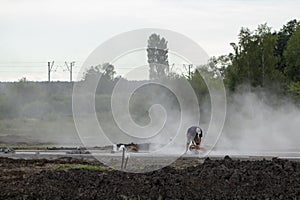 Worker using tool to cut concrete floor with dust
