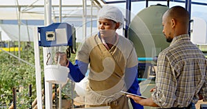 Worker weighing blueberry basket in blueberry farm 4k