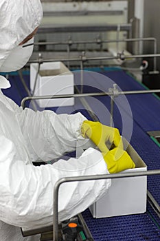 Worker working with boxes at on packing line line in factory