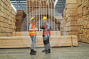 Worker are working at lumber yard in Large Warehouse.