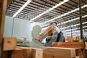 Worker are working at lumber yard in Large Warehouse.