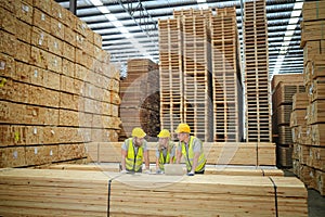 Worker are working at lumber yard in Large Warehouse.