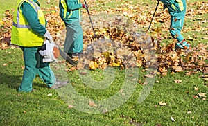 Workers cleaning fallen autumn leaves