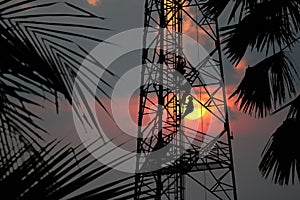 Workers are climbing to repair the telecommunication tower,Red s