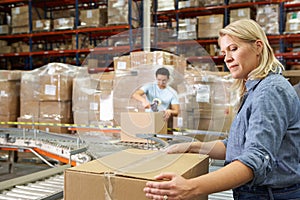 Workers In Distribution Warehouse photo