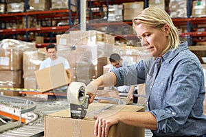 Workers In Distribution Warehouse