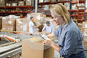 Workers In Distribution Warehouse