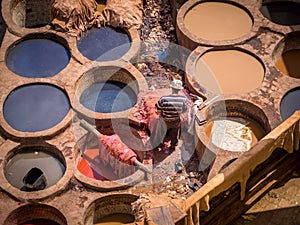 Workers are dyeing leather at the tannery in Fez, Fes el Bali