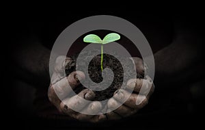 Workers hands with a handful