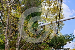 Workers landscapers in the removes extra branches with aerial work platform on seasonal pruning trees