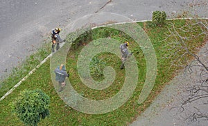 Workers mow the grass with a gasoline brushcutter