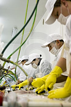 Workers in plant
