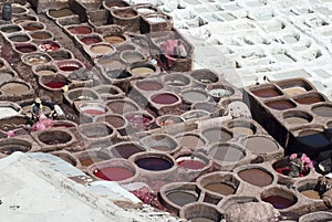 Workers Processing Hides In Colorful Tanning Pools At A Traditional Leather Tannery, Fes