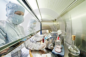 Workers in protective uniform at laboratory