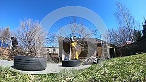 Workers prune fruit trees on a summer day, video without filters