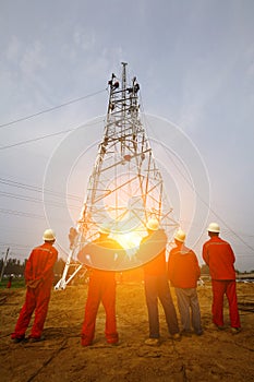 The workers of the pylon