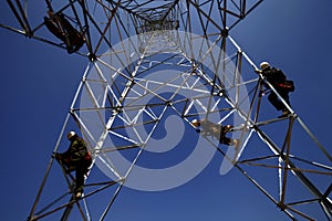 The workers of the pylon