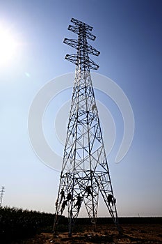 The workers of the pylon