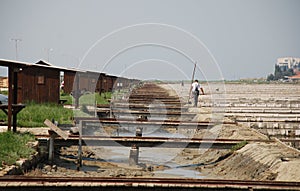 Workers in Salt Crystallization Field