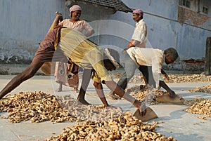 Workers at the Spice Market in Cochin, Kerala, Ind
