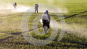 Workers spraying herbicides.