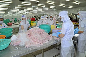 Workers are testing the color of pangasius fish in a seafood processing plant in Tien Giang, a province in the Mekong delta of Vie