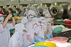 Workers are testing the color of pangasius fish in a seafood processing plant in Tien Giang, a province in the Mekong delta of Vie