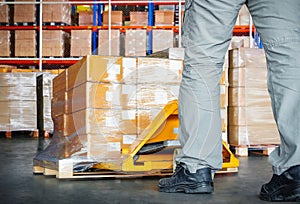 Workers Unloading Package Boxes on Pallets in Warehouse. Shipping Supplies. Supply Chain Shipment Goods