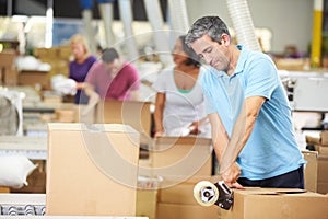 Workers In Warehouse Preparing Goods For Dispatch