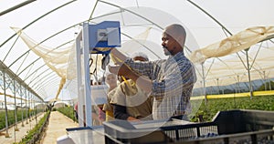 Workers weighing their blueberry basket in queue 4k