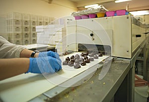 Workers work in the production line of an industry