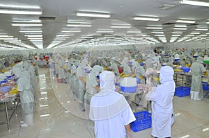 Workers are working in a seafood processing plant in Tien Giang, a province in the Mekong delta of Vietnam