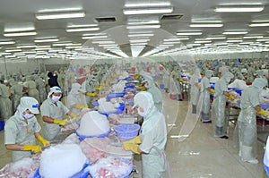 Workers are working in a seafood processing plant in Tien Giang, a province in the Mekong delta of Vietnam