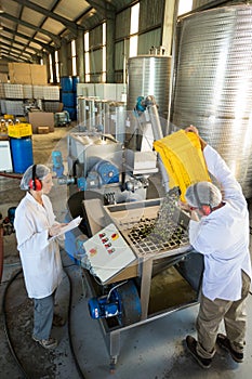 Workers working together near production line