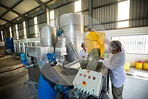 Workers working together near production line