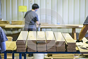 workers working in wood processing factory