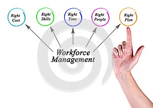 Workforce Management targets