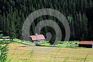 Working Absaroka Mountain Farm photo