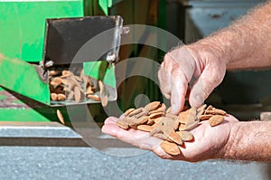 The working of almonds