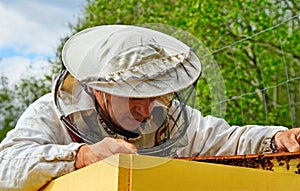 Working apiarist.