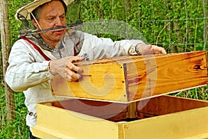 Working apiarist.