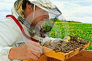 Working apiarist.