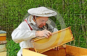 Working apiarist.