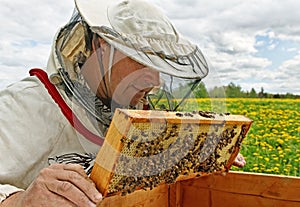 Working apiarist.