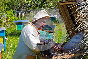 Working apiarist in a spring season.