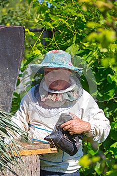 Working apiarist in a spring season.